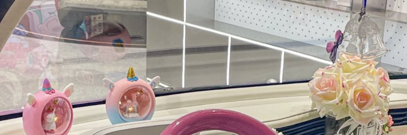 король троллейбуса banner