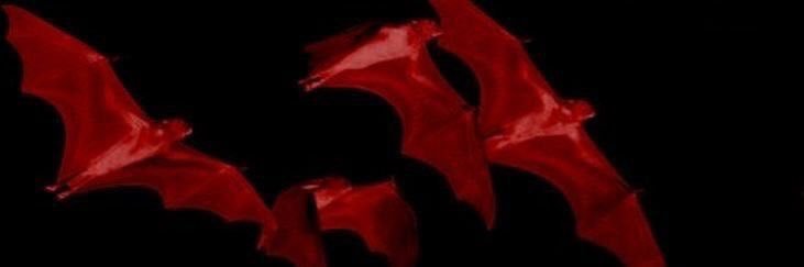 emofcks's profile banner image
