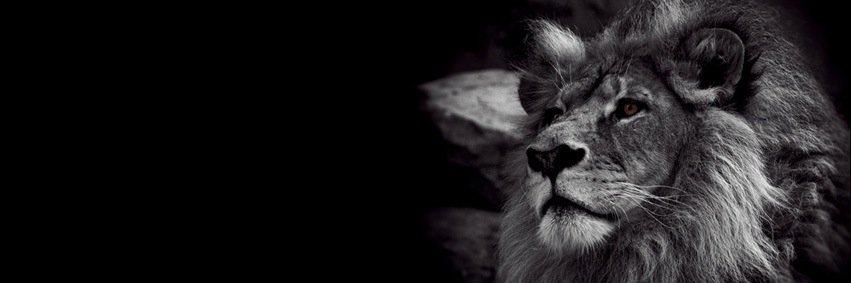 efralim98's profile banner image