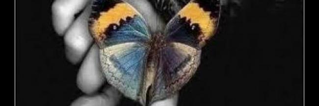 lupevalerop's profile banner image