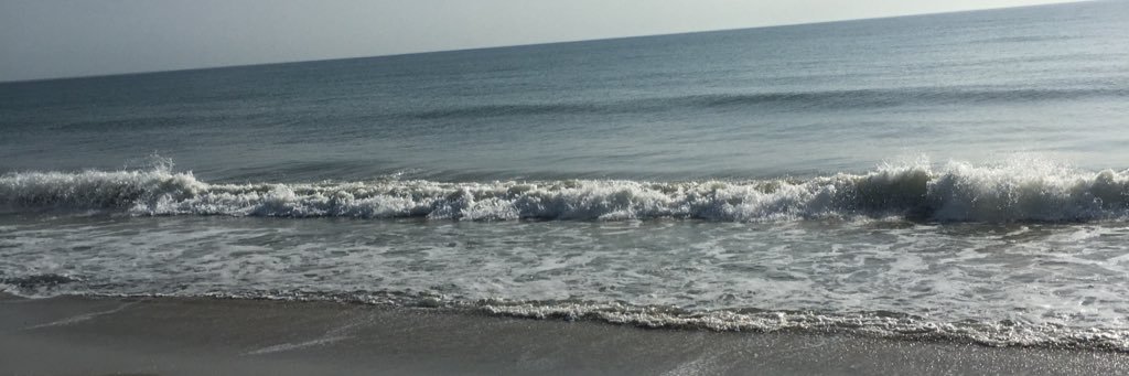 Stacey LaChance banner