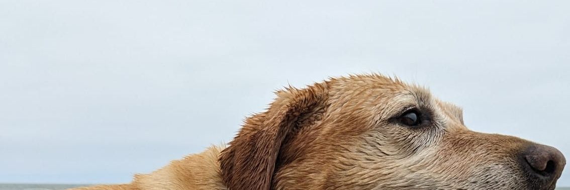 EricFlavin's profile banner image