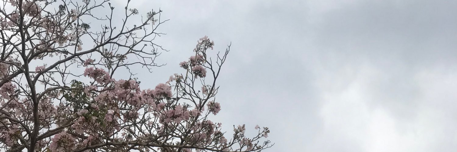 GabrielleBree's profile banner image