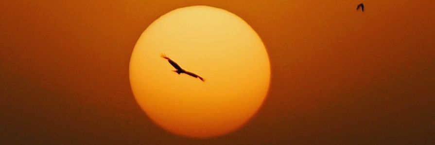 yasinsindhi's profile banner image