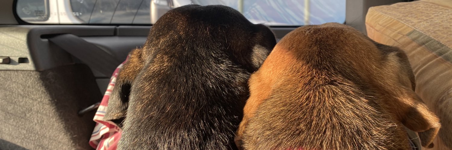 bxxlua's profile banner image