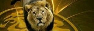 Robert0509's profile banner image