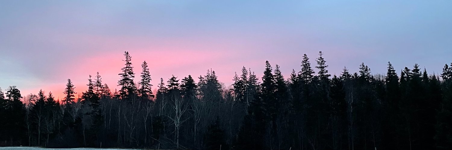 lizzies's profile banner image