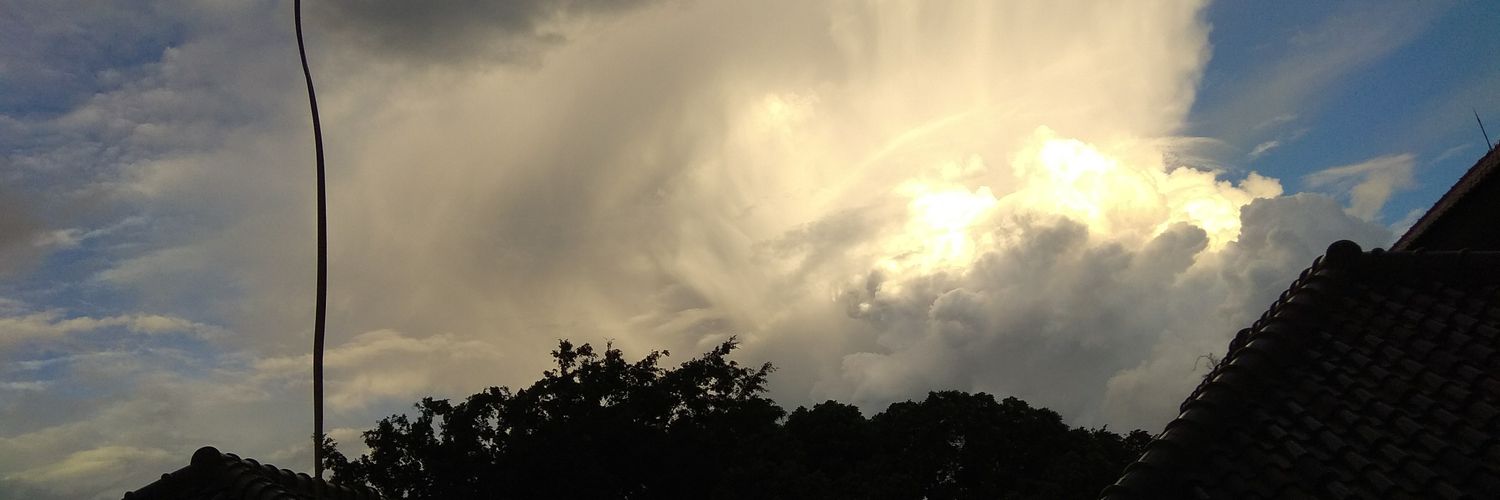 aambinnes's profile banner image