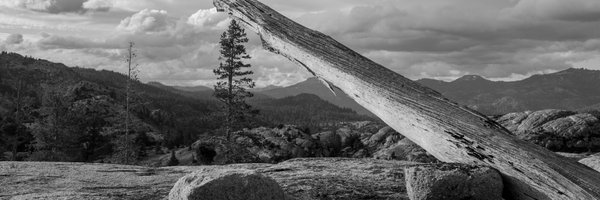 bdehaaff Profile Banner