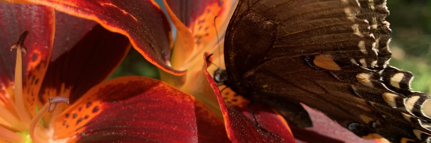 weirdzilla87's profile banner image