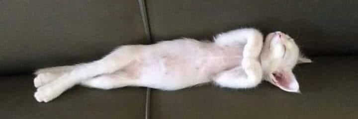 CunhaEdineide's profile banner image