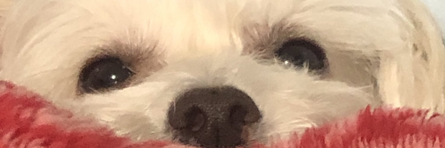 twiddleytea's profile banner image