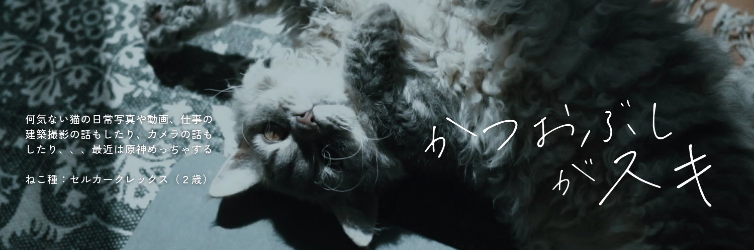 wwwbitter_root's profile banner image