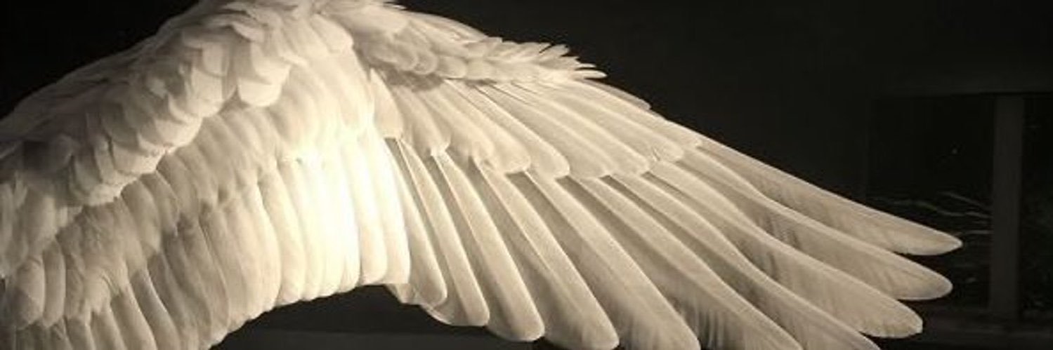 Nu banner
