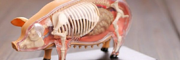 bone_to_extinct Profile Banner