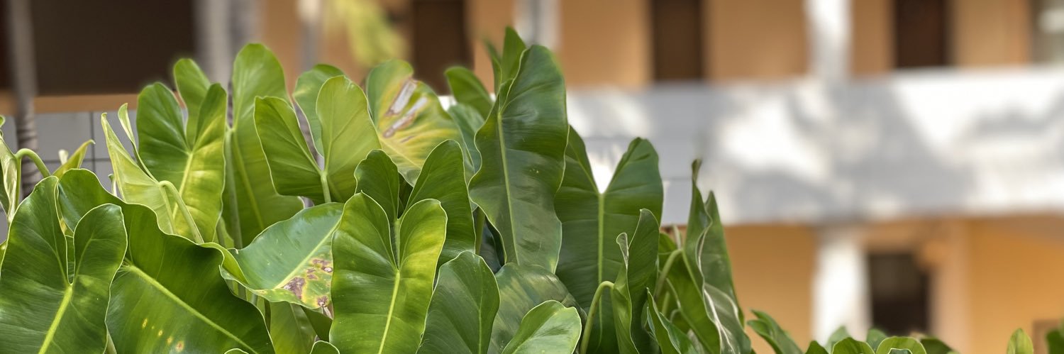 williamcolme's profile banner image