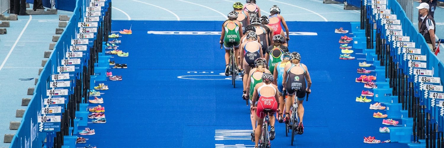 Carlyn Fischer banner