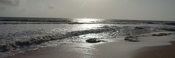 Saravan31103047 Profile Banner