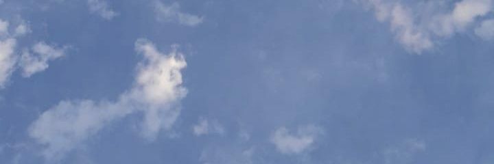 Piliacida's profile banner image