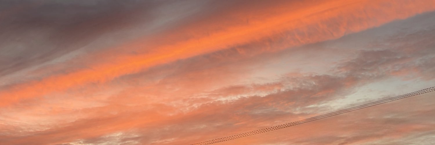 tiari1771's profile banner image