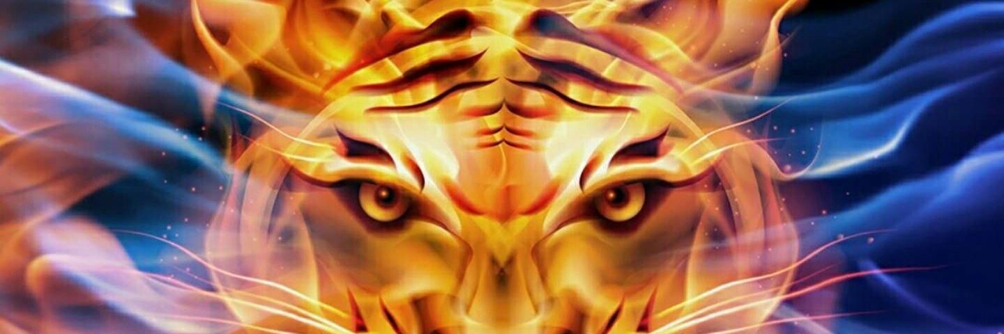 flecha1123's profile banner image