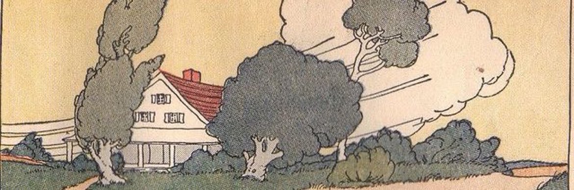 caatrry's profile banner image