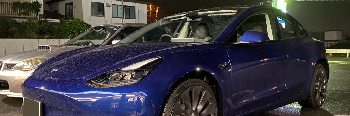taro_tesla's profile banner image