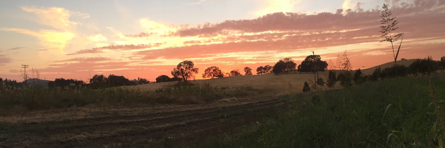 Katie Johnson banner