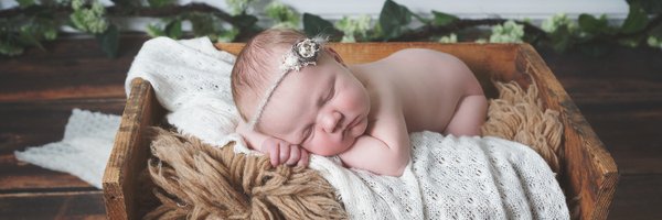 BloomPortraits Profile Banner