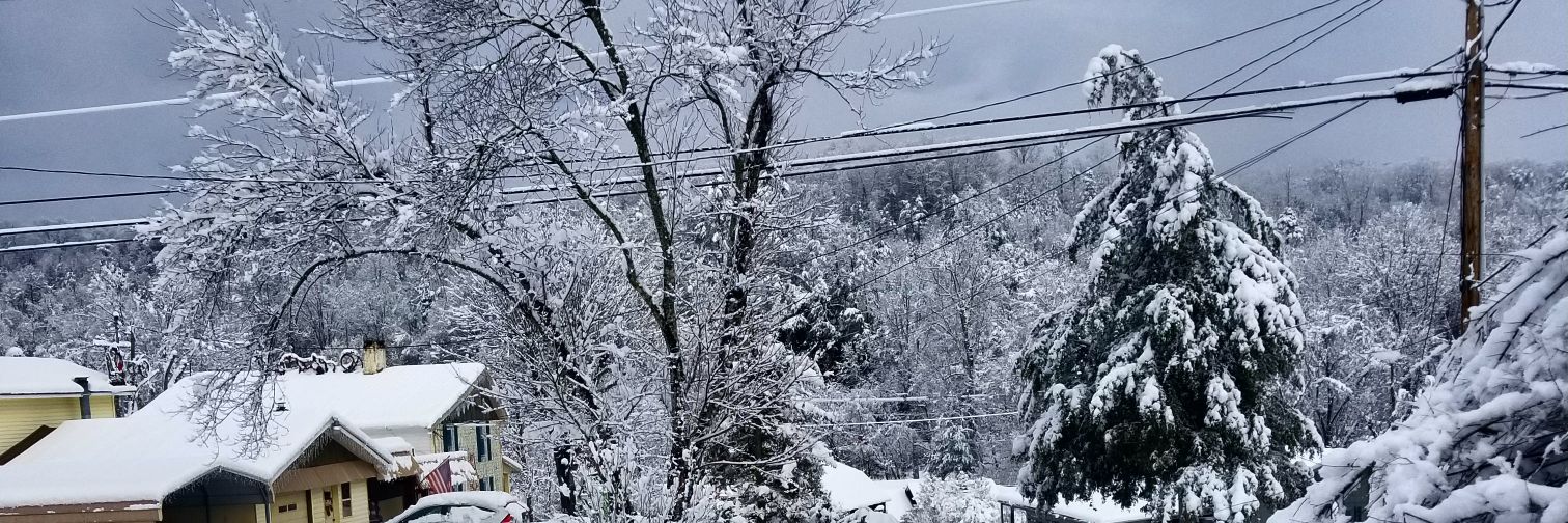 Mandy Jolly Reavis banner