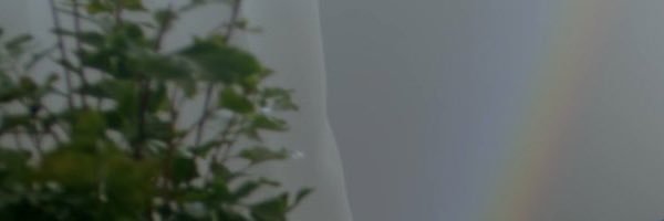 향 banner