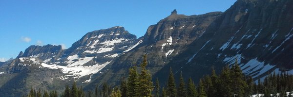 notess Profile Banner