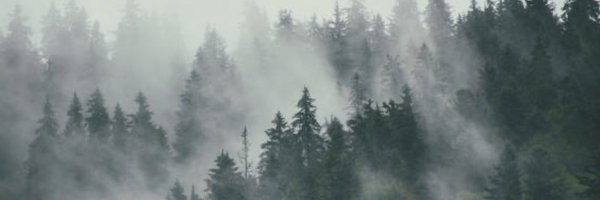 TitaniasRealm Profile Banner