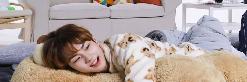 냥냥이 banner