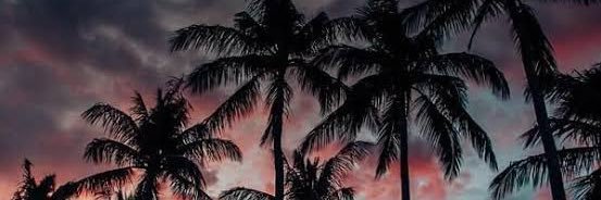 prvtraphael's profile banner image