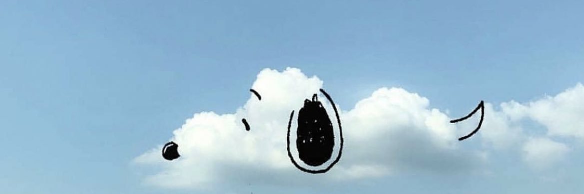 diannaparicio's profile banner image