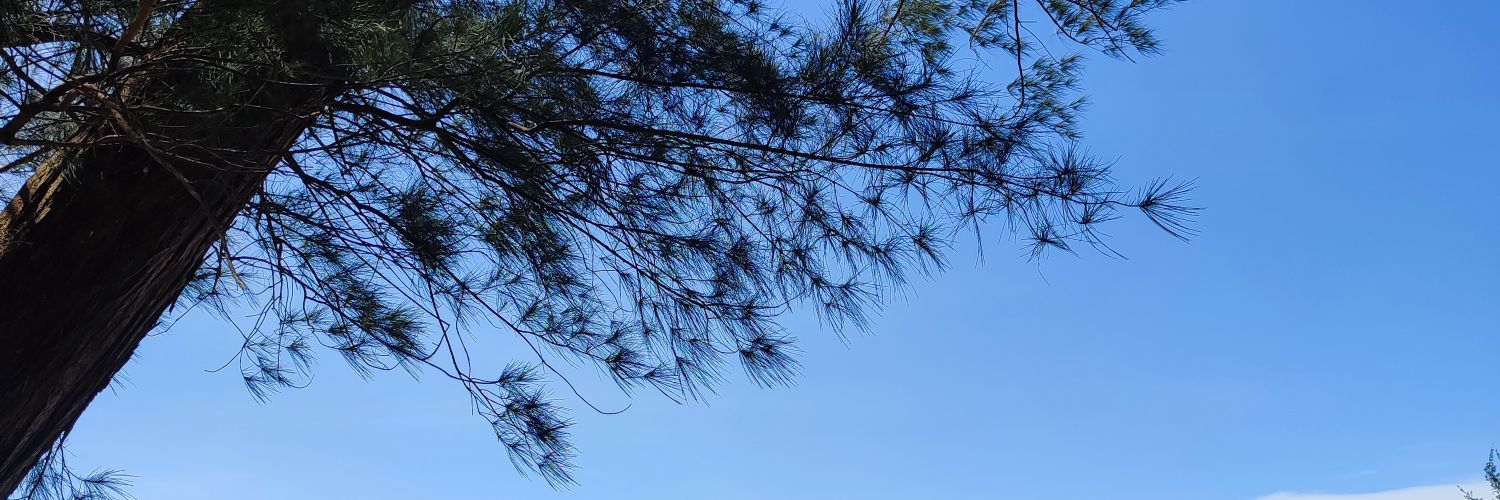 asongishere's profile banner image