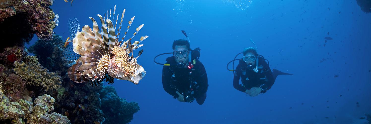 Rec_Diving's profile banner image