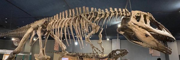 knd_448 Profile Banner