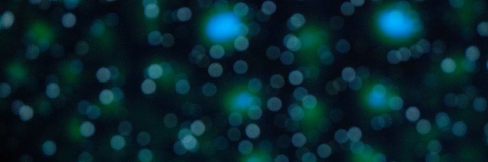 ulterior_modem's profile banner image
