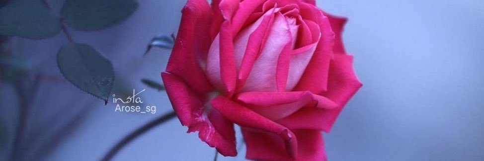 omhussam366's profile banner image