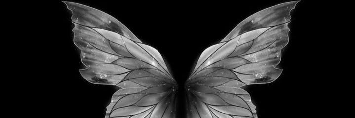 23 banner