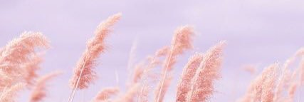 ladyofthelord_'s profile banner image