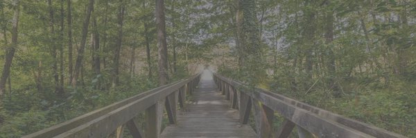 buruascientifi1 Profile Banner