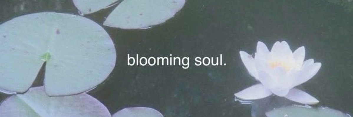 蓮🪷🪽#ROLO🔜 banner