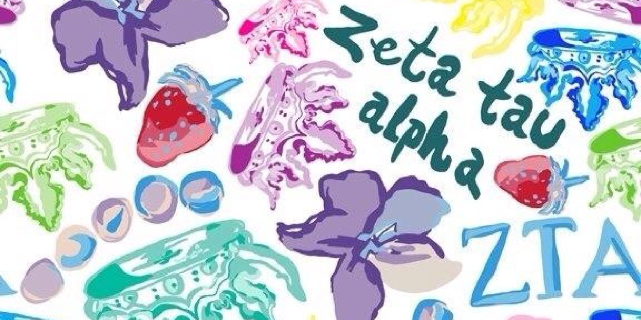 PeaceLoveZTA's profile banner image