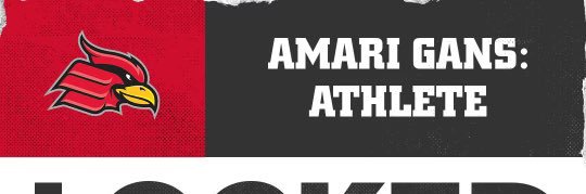 Amari Gans banner