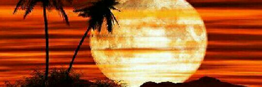 sonja711's profile banner image