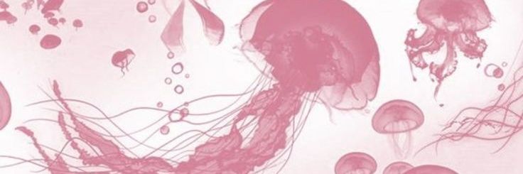 vito🪼 banner