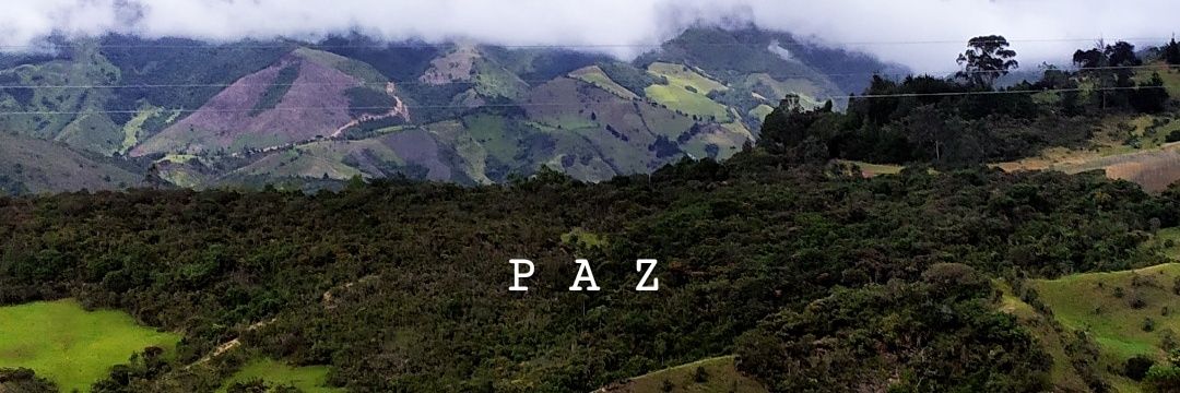 Moniialba's profile banner image